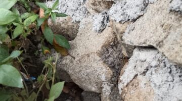 Diduga Proyek Drainase Didesa Bontoparang, Asal Jadi